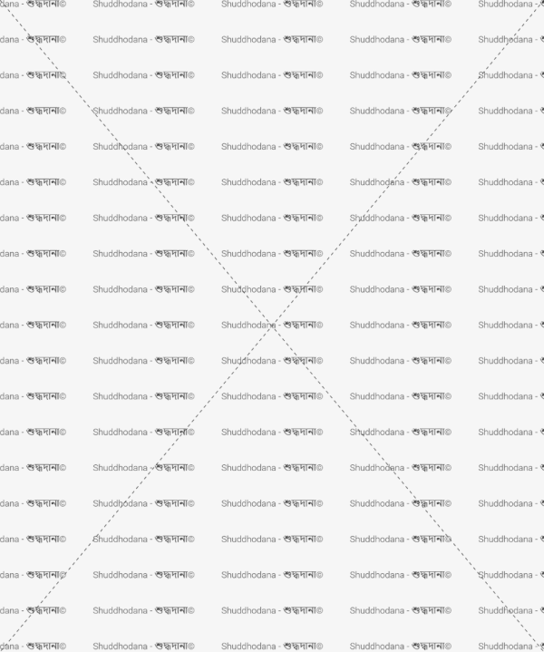 Cashew Nuts (কাজু বাদাম)